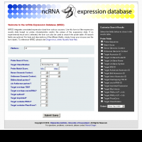 ncRNA Expression Database