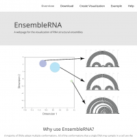 EnsembleRNA